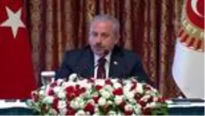 Şentop: 'Kadına şiddetin mazereti olamaz' Şentop: 'Kadına şiddetin mazereti olamaz'