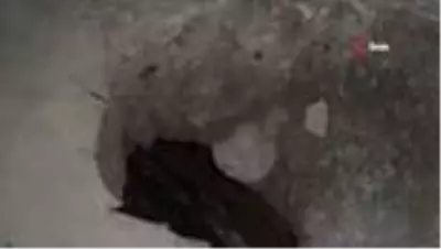 Sinop'taki 3 bin yıllık gizli tünel gün yüzüne çıktı Sinop'taki 3 bin yıllık gizli tünel gün yüzüne çıktı