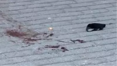 Sokak ortasında silahlı saldırı: 1 yaralı Sokak ortasında silahlı saldırı: 1 yaralı