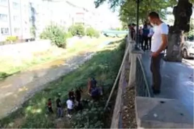 Tatlı Çay'a 5 metre yükseklikten düşen kadın ölümden döndü Tatlı Çay'a 5 metre yükseklikten düşen kadın ölümden döndü