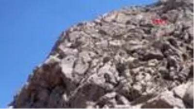 Torosların zirvesinden çıkarılan kar serinlik kaynağı Torosların zirvesinden çıkarılan kar serinlik kaynağı