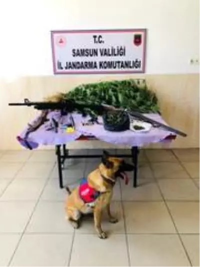 Uyuşturucu tacirleri 'Ozon'u geçemiyor Uyuşturucu tacirleri 'Ozon'u geçemiyor