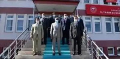 Vali Şıldak, Vali Şıldak,