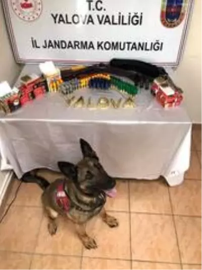 Yalova'da ruhsatsız silah ele geçirildi Yalova'da ruhsatsız silah ele geçirildi