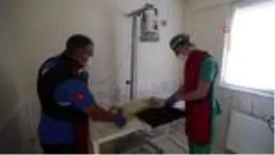 20 bin can dostu şifa buldu 20 bin can dostu şifa buldu