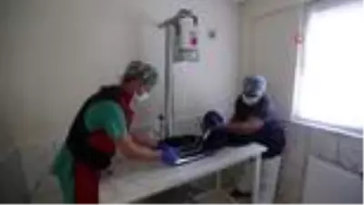 20 bin can dostu şifa buldu 20 bin can dostu şifa buldu