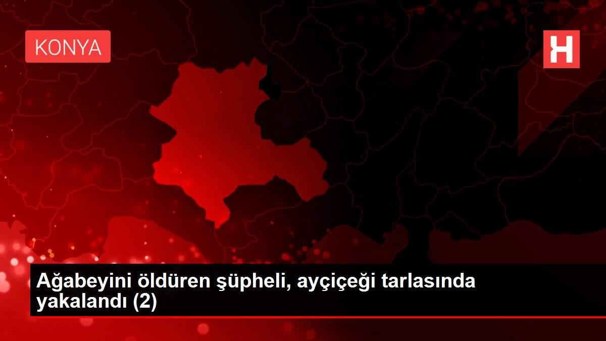 Ağabeyini öldüren şüpheli, ayçiçeği tarlasında yakalandı (2) Ağabeyini öldüren şüpheli, ayçiçeği tarlasında yakalandı (2)