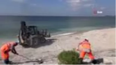 Avcılar halk plajlarına kavuşuyor Avcılar halk plajlarına kavuşuyor
