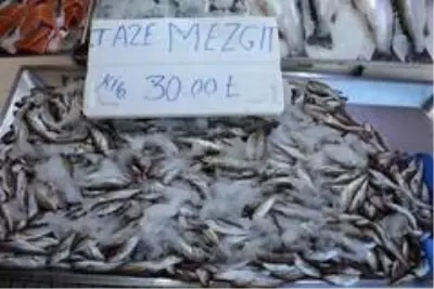 Balık tezgahlarını çiftlik balıkları süslüyor Balık tezgahlarını çiftlik balıkları süslüyor
