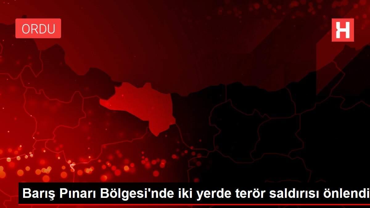 Barış Pınarı Bölgesi'nde iki yerde terör saldırısı önlendi Barış Pınarı Bölgesi'nde iki yerde terör saldırısı önlendi