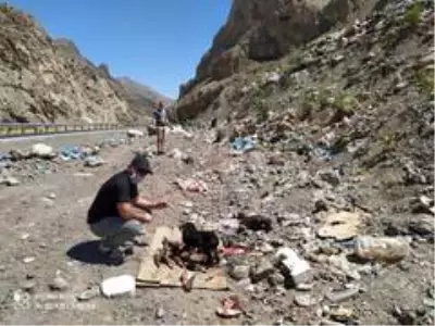 Belediye ekibi sahipsiz hayvanları kendi elleriyle besledi Belediye ekibi sahipsiz hayvanları kendi elleriyle besledi