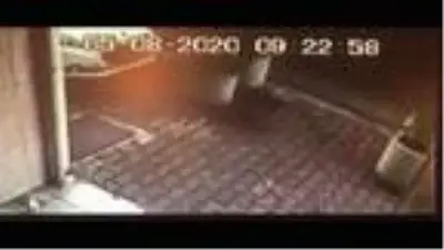 Otomobil sürücüsü köpeği ezdi, hiçbir şey olmamış gibi yoluna devam etti Otomobil sürücüsü köpeği ezdi, hiçbir şey olmamış gibi yoluna devam etti