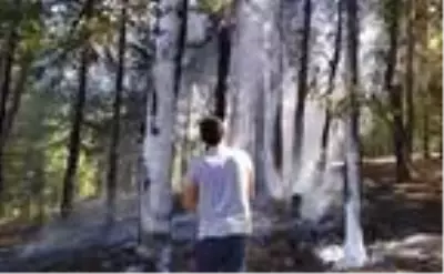 Bolu'da 1 dönüm ormanlık alan yandı Bolu'da 1 dönüm ormanlık alan yandı