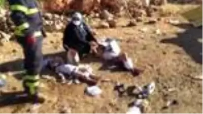 İki otomobil kafa kafaya çarpıştı, araçlar hurdaya döndü! 4'ü çocuk 11 kişi yaralandı İki otomobil kafa kafaya çarpıştı, araçlar hurdaya döndü! 4'ü çocuk 11 kişi yaralandı