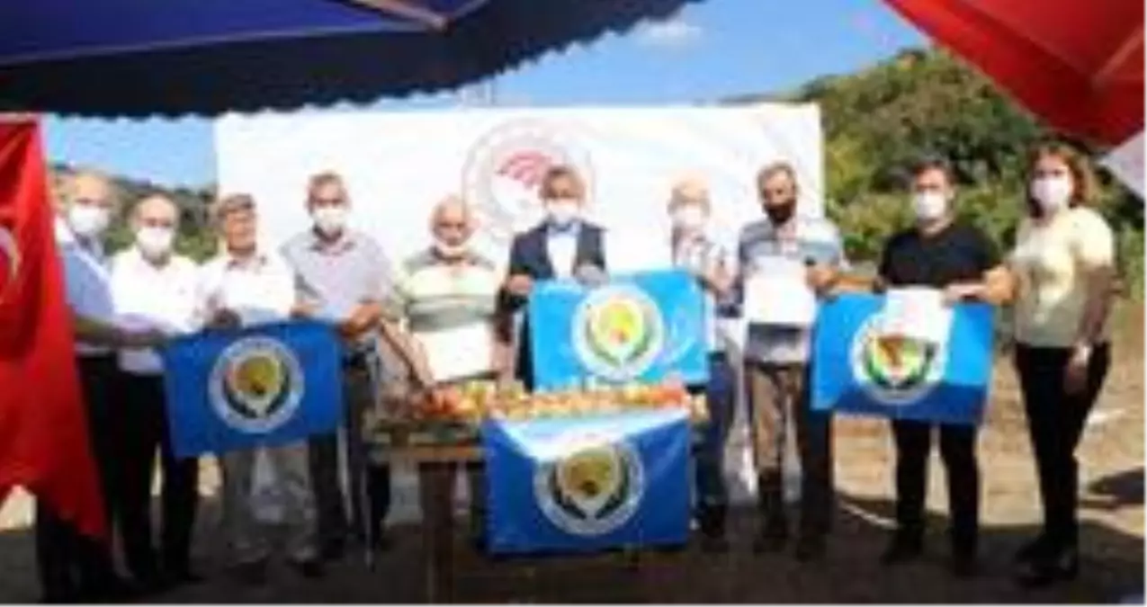 Kalıntısız şeftaliye sertifika