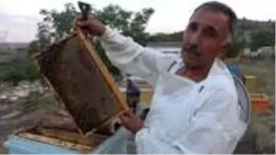Kırıkkale'de 10 çeşit bitkiden elde edilen her derde deva balın kilosu 100 lira Kırıkkale'de 10 çeşit bitkiden elde edilen her derde deva balın kilosu 100 lira