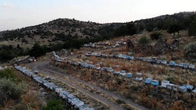 Kırıkkale'de 10 çeşit bitkiden elde edilen her derde deva balın kilosu 100 lira Kırıkkale'de 10 çeşit bitkiden elde edilen her derde deva balın kilosu 100 lira