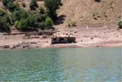 Kodu düşen baraj gölünde 'Gülistan' seferberliği Kodu düşen baraj gölünde 'Gülistan' seferberliği