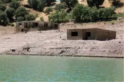 Kodu düşen baraj gölünde 'Gülistan' seferberliği Kodu düşen baraj gölünde 'Gülistan' seferberliği