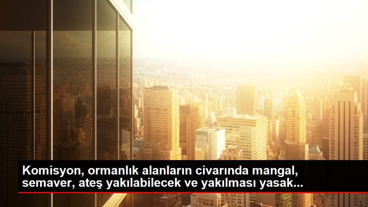Komisyon, ormanlık alanların civarında mangal, semaver, ateş yakılabilecek ve yakılması yasak... Komisyon, ormanlık alanların civarında mangal, semaver, ateş yakılabilecek ve yakılması yasak...