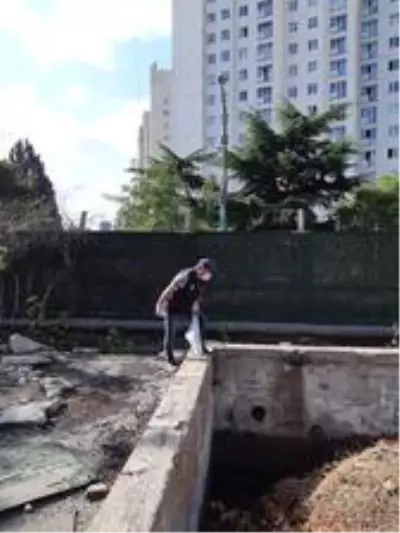 Maltepe'de vektörle mücadele devam ediyor Maltepe'de vektörle mücadele devam ediyor