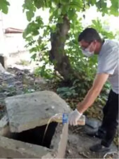Maltepe'de vektörle mücadele devam ediyor Maltepe'de vektörle mücadele devam ediyor