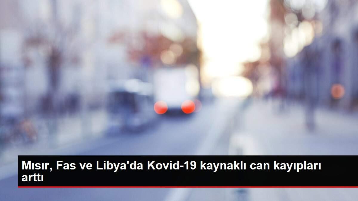 Mısır, Fas ve Libya'da Kovid-19 kaynaklı can kayıpları arttı Mısır, Fas ve Libya'da Kovid-19 kaynaklı can kayıpları arttı