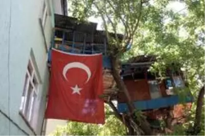 Nusret dede, Covid-19'dan ağaç evi ile korunuyor Nusret dede, Covid-19'dan ağaç evi ile korunuyor