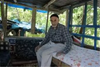Nusret dede, Covid-19'dan ağaç evi ile korunuyor Nusret dede, Covid-19'dan ağaç evi ile korunuyor