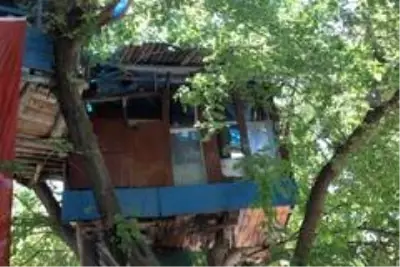 Nusret dede, Covid-19'dan ağaç evi ile korunuyor Nusret dede, Covid-19'dan ağaç evi ile korunuyor
