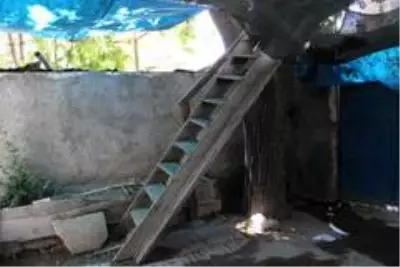 Nusret dede, Covid-19'dan ağaç evi ile korunuyor Nusret dede, Covid-19'dan ağaç evi ile korunuyor