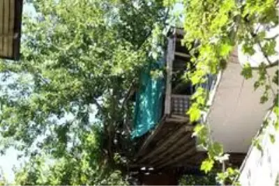 Nusret dede, Covid-19'dan ağaç evi ile korunuyor Nusret dede, Covid-19'dan ağaç evi ile korunuyor