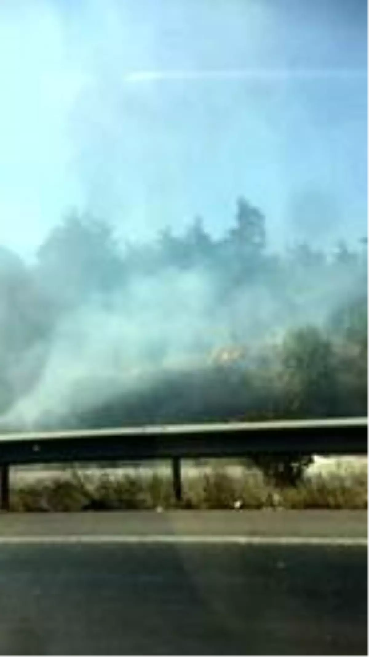 Ormanlık alandaki orman yangını 1 saatlik çalışmayla söndürüldü