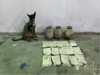 Otlu peynir arasında eroin sevkıyatı Zeyna'ya takıldı Otlu peynir arasında eroin sevkıyatı Zeyna'ya takıldı