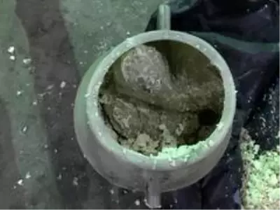 Otlu peynir arasında eroin sevkıyatı Zeyna'ya takıldı Otlu peynir arasında eroin sevkıyatı Zeyna'ya takıldı
