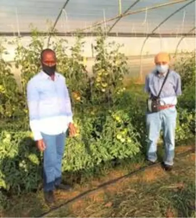 Somalili öğrenci 1 kilo 130 gram domates yetiştirerek Türkiye rekoru kırdı Somalili öğrenci 1 kilo 130 gram domates yetiştirerek Türkiye rekoru kırdı