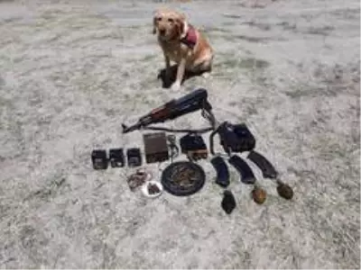 Van'da terör operasyonu Van'da terör operasyonu