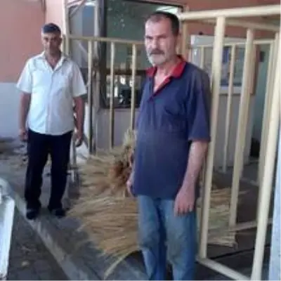 Yeni mahsul süpürge teli Borsa'da Yeni mahsul süpürge teli Borsa'da