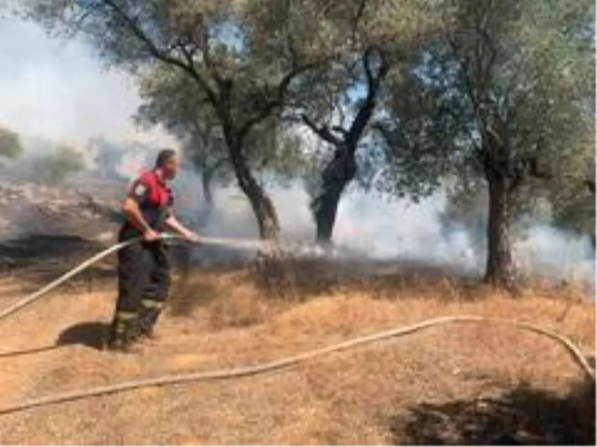 Son Dakika Haberi 8 Helikopter 1 Ucak Yangina Mudahale Ediyor Mugla