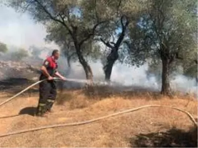 Son dakika haberi... 8 helikopter 1 uçak yangına müdahale ediyor Son dakika haberi... 8 helikopter 1 uçak yangına müdahale ediyor