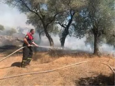 8 helikopter 1 uçak yangına müdahale ediyor 8 helikopter 1 uçak yangına müdahale ediyor