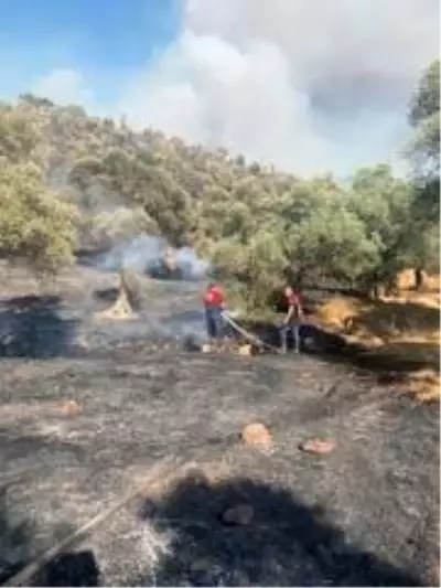 Son dakika haberi... 8 helikopter 1 uçak yangına müdahale ediyor Son dakika haberi... 8 helikopter 1 uçak yangına müdahale ediyor