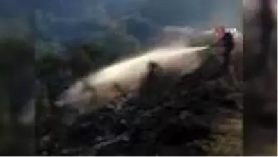 8 helikopter,1 uçak yangına müdahale ediyor 8 helikopter,1 uçak yangına müdahale ediyor