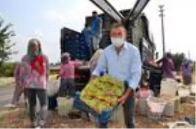 Alaşehir'in ünlü üzümünde bu yılın ilk ihracatı gerçekleşti Alaşehir'in ünlü üzümünde bu yılın ilk ihracatı gerçekleşti