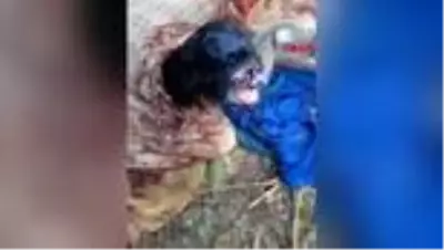AYDIN Kızı kaybolan babadan duygulandıran çağrı AYDIN Kızı kaybolan babadan duygulandıran çağrı