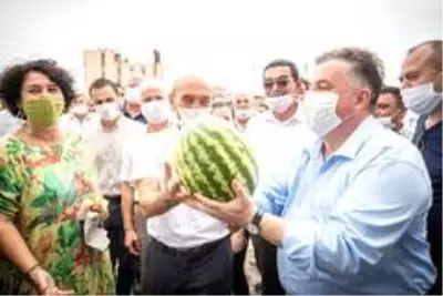 Başkan Soyer domates hasadı yaptı Başkan Soyer domates hasadı yaptı
