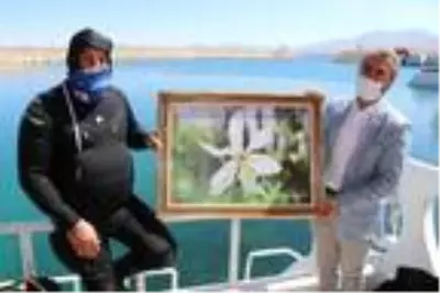 Belediye Başkanı, Van Gölü'nün güzelliklerine dikkat çekmek için daldı Belediye Başkanı, Van Gölü'nün güzelliklerine dikkat çekmek için daldı