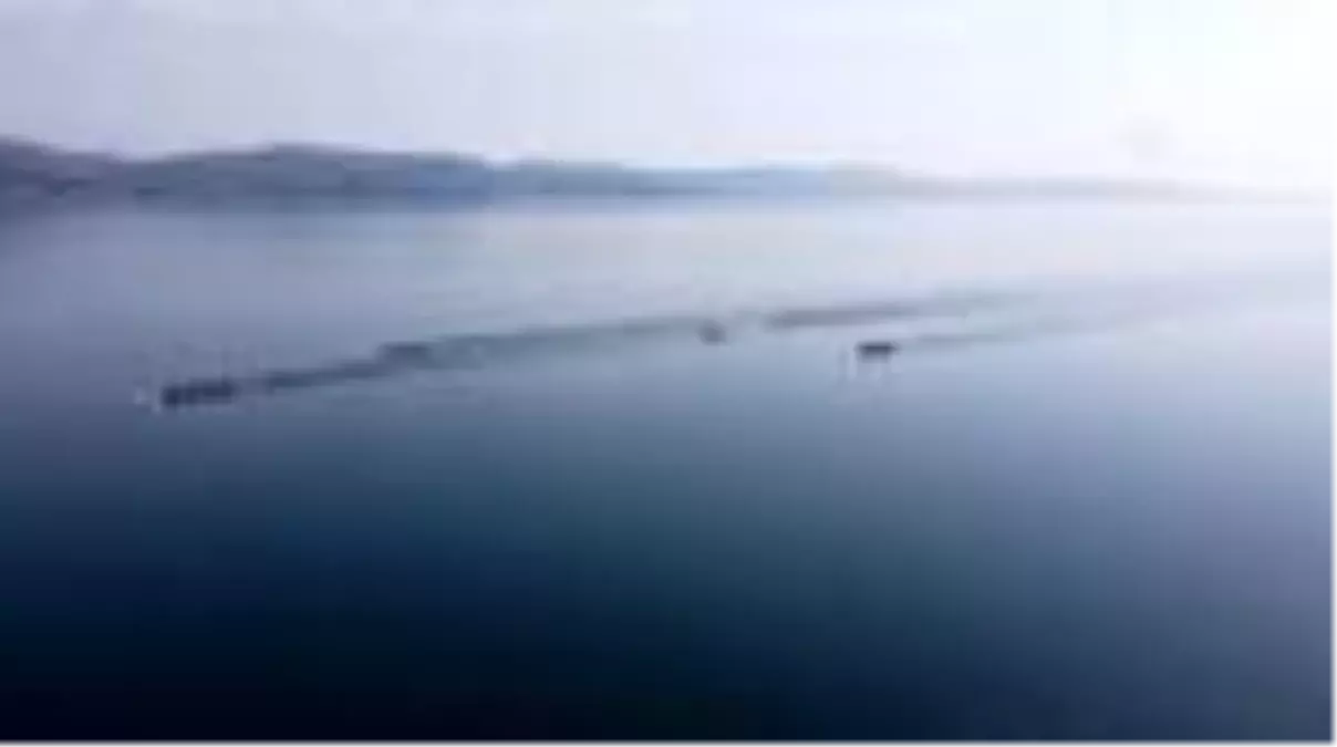 Gençler Türkiye Kupası Kürek Yarışları başladı