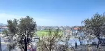 Ilica Haberleri Ilica Haber Haberler Sayfa 2