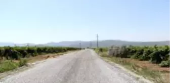 Saruhanli Haber Saruhanli Son Dakika Haberleri Haberler